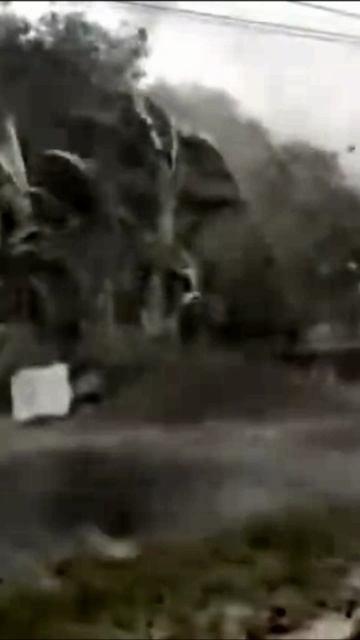 Сильный шквалистый ветер в Восточной Яве смотреть онлайн