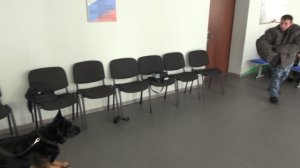 Кинологи УФСИН провели урок В Казачьей кадетской школе-интернате Маршала Советского Союза Д.Т. Язова