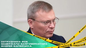 Сотрудники ФСБ задержали заместителя губернатора Андрея Фалейчика