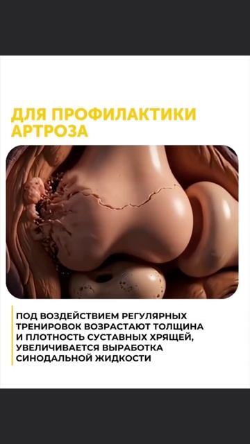 Для чего мы тренируемся на самом деле? | Наша восстановительная система

✔️ Снижение веса и нагрузки