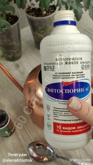 Секрет такой урожайной рассады прост!