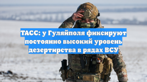 ТАСС: у Гуляйполя фиксируют постоянно высокий уровень дезертирства в рядах ВСУ