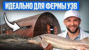 Старый Ангар, ГАРАЖ или КОРОВНИК? Где Лучше НАЧАТЬ БИЗНЕС на Рыбе в УЗВ?
