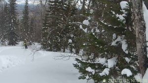 Шерегеш 2026:  фрирайд со снегоходами - 5