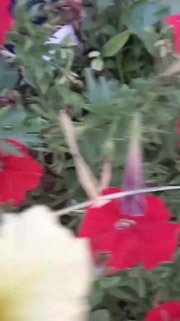 лето смотреть онлайн