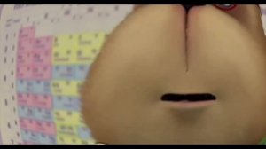 Барбоскины смешные.