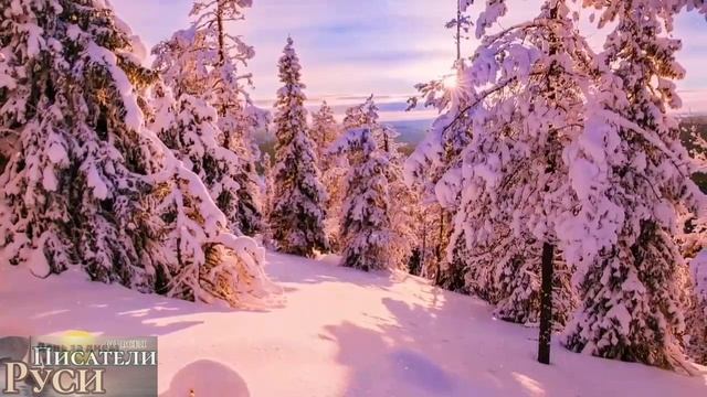 Совершенствуйся без устали
11 февраля.
«По сей причине, напоминаю тебе возгревать дар Божий, который смотреть онлайн