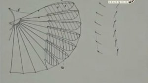 57. Отто Лилиенталь и планер