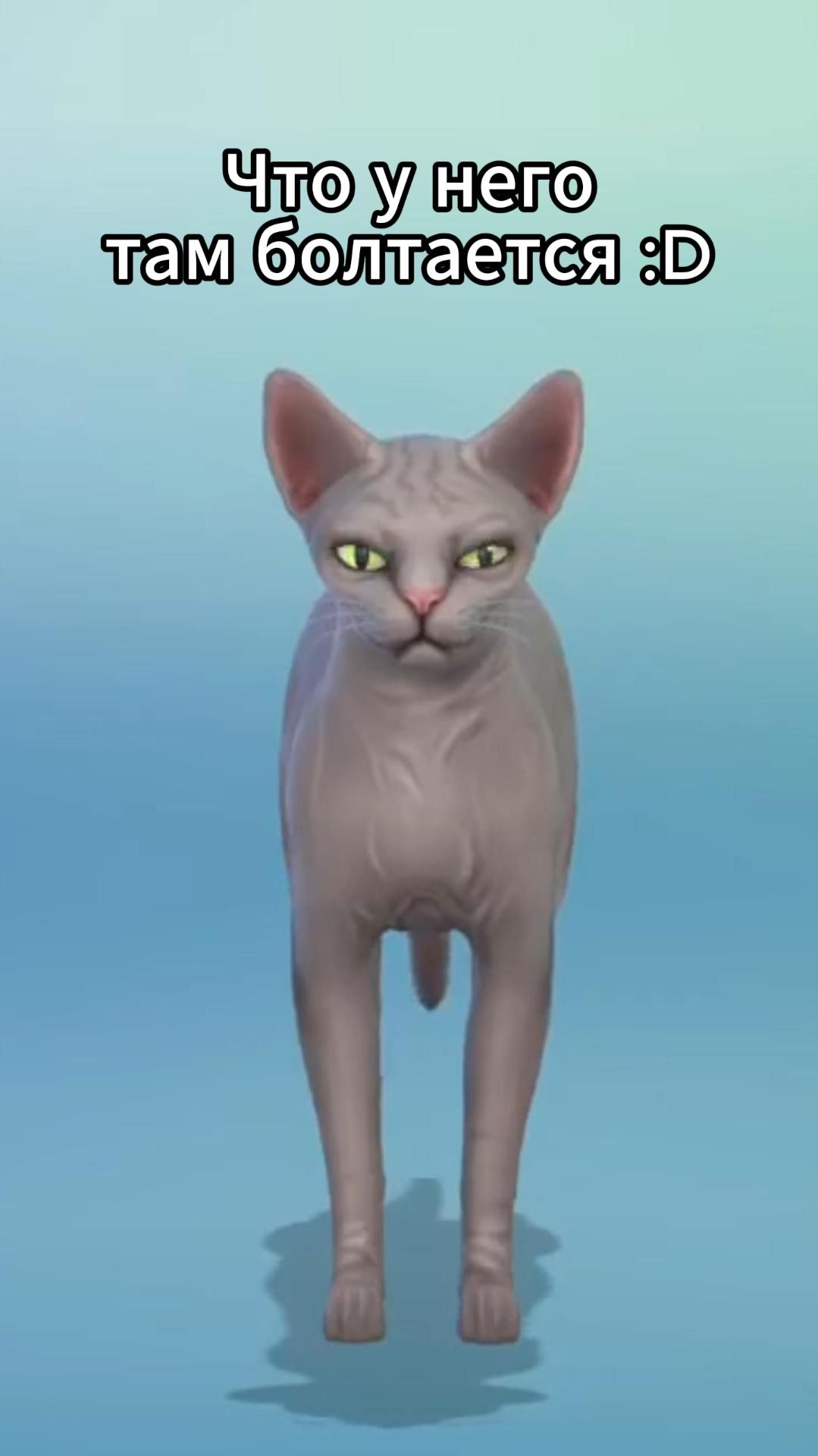 Это хвост :)