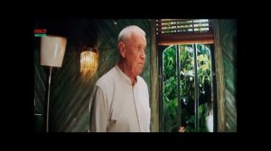 всех любимый фильм Чебурашка 2