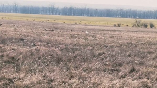 Альфа. 12.02.26.