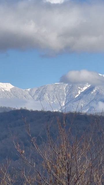 2026-02-10 смотреть онлайн