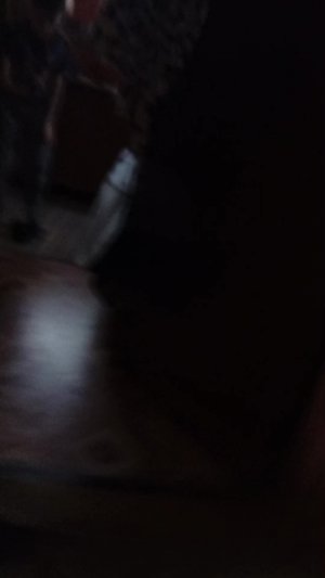 гоняемся за котами