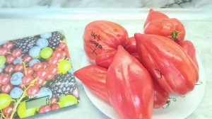 Томаты 🍎. Казанский местный. Сердце Марты. Ананасное сердце.