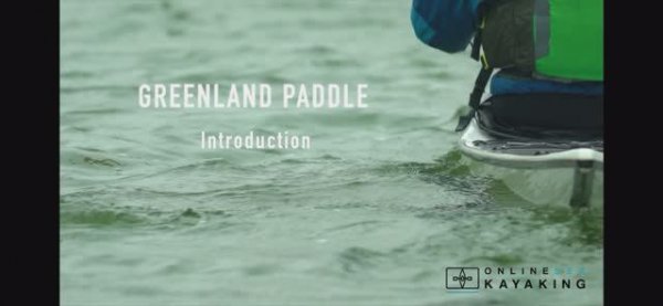 Введение (Introduction)