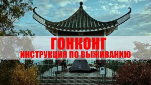 ГОНКОНГ 2026: БЕСПЛАТНЫЕ МУЗЕИ, ЕДА У СИКХОВ, СПИМ В ПАЛАТКЕ, ТРАМВАИ И ТРЕКИНГ, РУЧНЫЕ ПТИЦЫ.