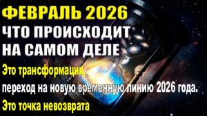 Что происходит на самом деле | Февраль 2026