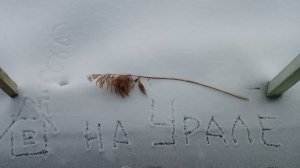 ДЕНЬ за ДНЁМ / ЖИВЁМ не ТУЖИМ / СНЕГ, КУХНЯ, КЛУБ...