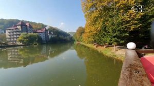 Уютное кафе у озера_ пение птиц, вода и звуки природы