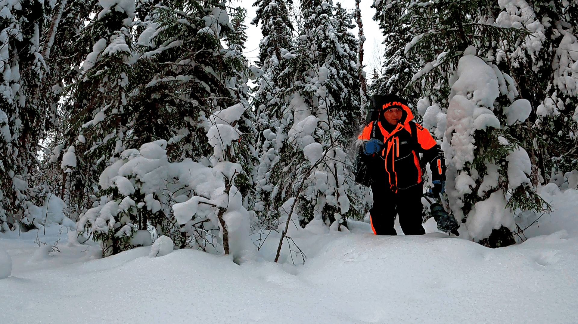 Рыбак зашел в лес нашел озеро и обалдел. Рыбалка в глухозимье 2026 на жерлицы и мормышку смотреть онлайн