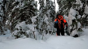 Рыбак зашел в лес нашел озеро и обалдел. Рыбалка в глухозимье 2026 на жерлицы и мормышку