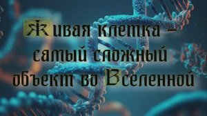 Полночная наука. Живая клетка - самый сложный объект во Вселенной