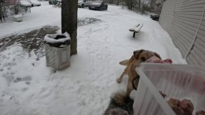 Скоростное пропивание, Невозможность завязать, подготовка к трудодням,снежный плен,кормящий папочка'