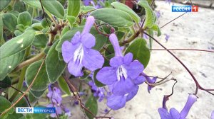 Сотрудники Белгорблагоустройства готовятся к весенне-летнему сезону