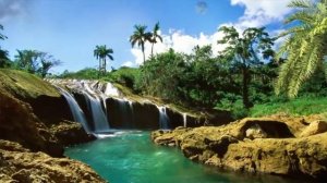 Обсуждение_темы__Почему_Петр_не_повесился_как_Иуда_после_отречения