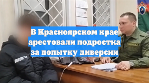В Красноярском крае арестовали подростка за попытку диверсии