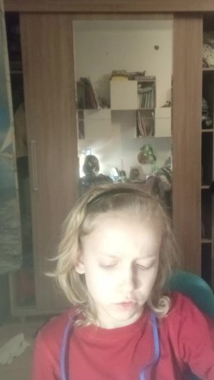 расспрашиваю лису красками