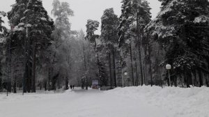 Санкт-Петербург. Санаторий Северная Ривьера, Зеленогорск. Есть бассейн, спорткомплекс.