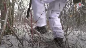 🎯 Надежное прикрытие для штурмовиков