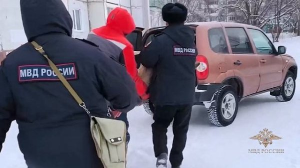 «Пришлось нести на руках»: в Шарыпово полицейские спасли косулю