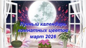 Лунный календарь комнатных растений и цветов на март 2026 года
