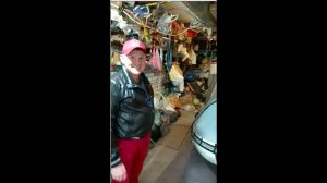 Отзыв Артема на стояночно-ходовой тент "Фролыч 3в1" для лодки ПВХ Gladiator 300