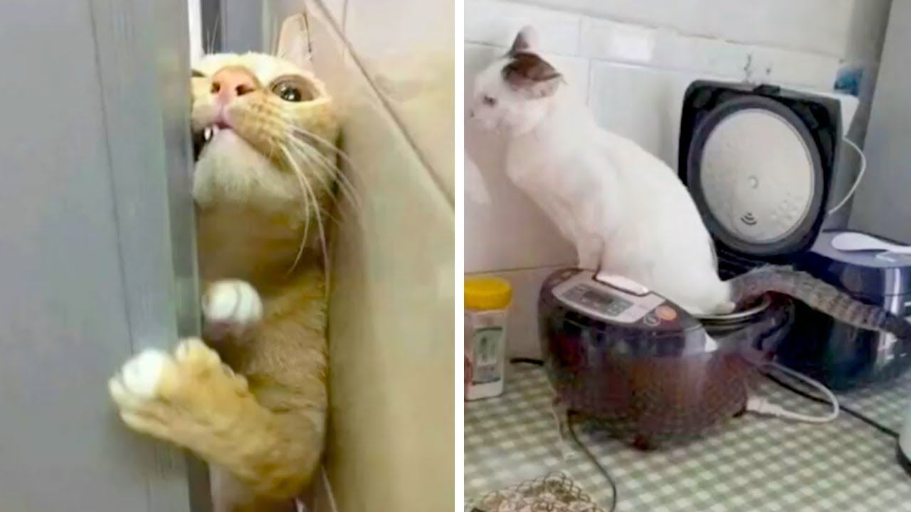 Вы думали, что это ваш дом Заблуждение — это дом