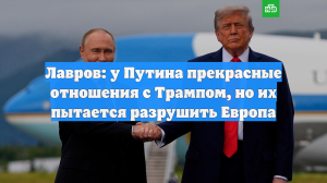 Лавров: у Путина прекрасные отношения с Трампом, но их пытается разрушить Европа