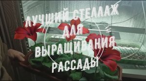 Стеллаж для рассады,с подсветкой.