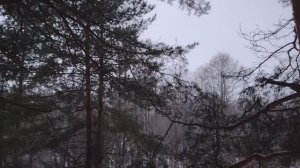 Правила обращения с деньгами