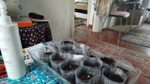 Видео за несколько дней.