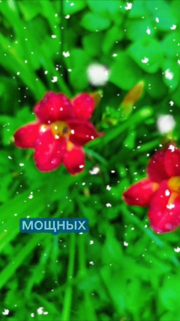 8 февраля 2026