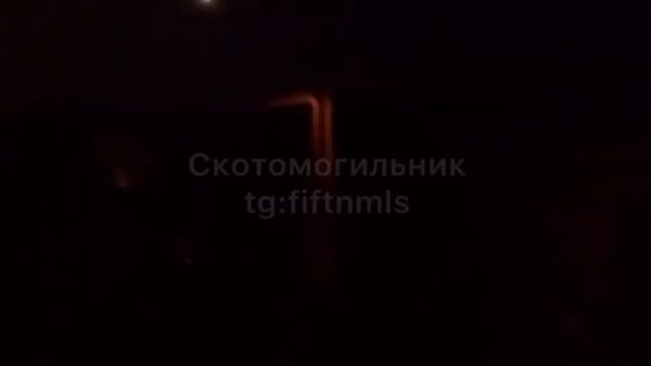 Есть пробитие!  💥🐽💥