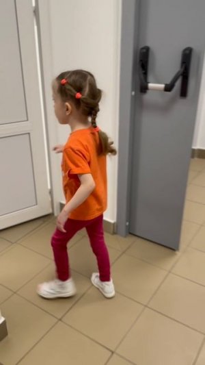 365 дней в году