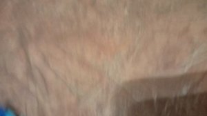 машинки из lego из чижика за 200 руб