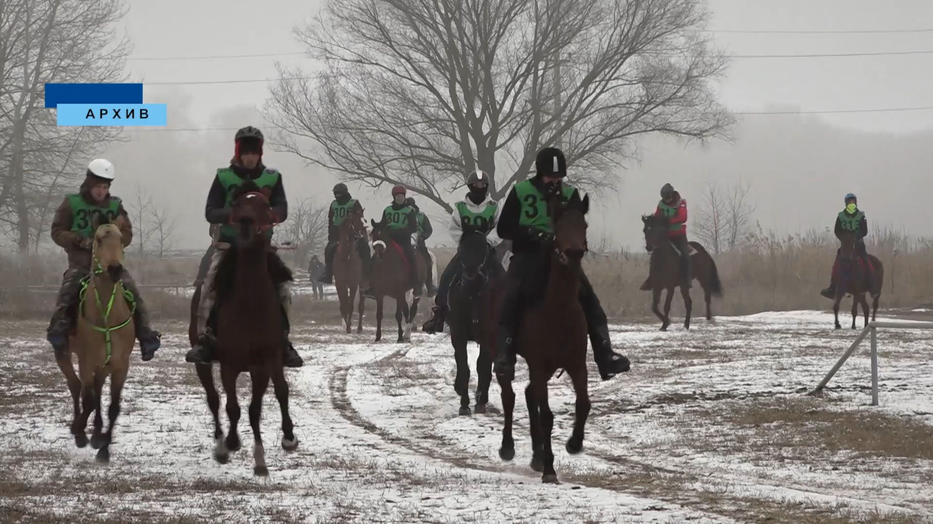 21 февраля в конноспортивном комплексе "Красный Гедуко" пройдут соревнования по пробегам