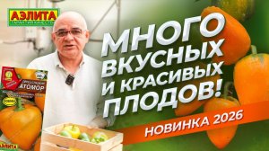 Урожайный сорт сладкого перца с оригинальными плодами! Новинка 2026 - АТОМОР
