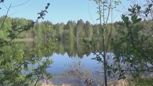 Разведка самородного Золота на старинном прииске!