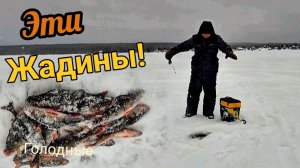 Чуйка не подвела! Здесь окунь отлично ловится!  зимняя рыбалка