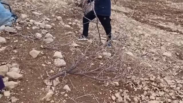 Кочевая жизнь# Иран# 187 часть смотреть онлайн